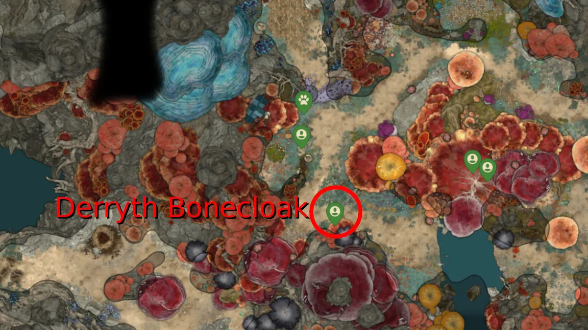 Baldurs-Gate-3-Where-to-Buy-Healing-Potions-Potion-Vendor-Locations-Act-1-Derryth-Bonecloak