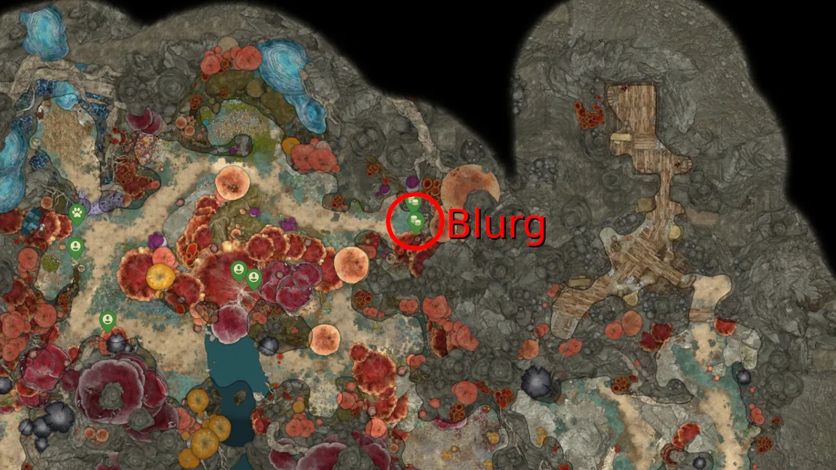 Baldurs-Gate-3-Where-to-Buy-Healing-Potions-Potion-Vendor-Locations-Act-1-Blurg